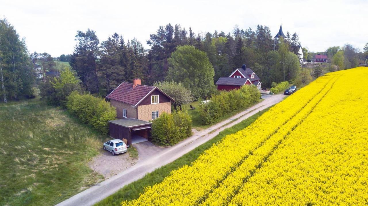 The Cozy Little House
